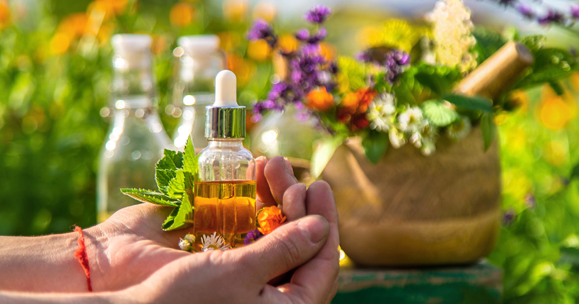 Teintures mères de plantes