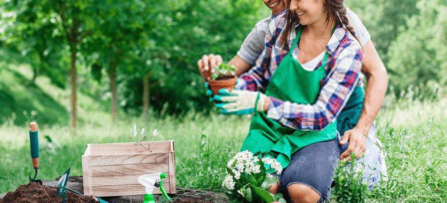 Conseils de jardinage biologique pour les jardiniers de tous niveaux