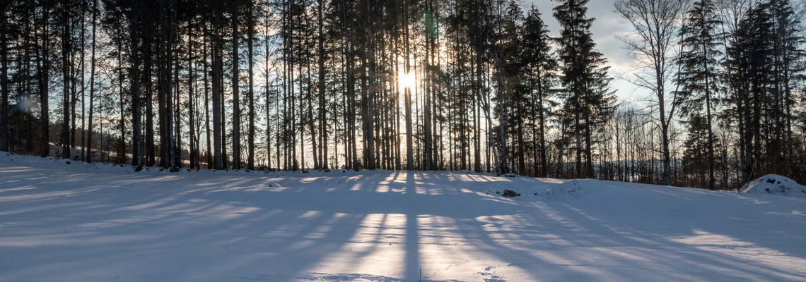 foret enneigée du Jura en France