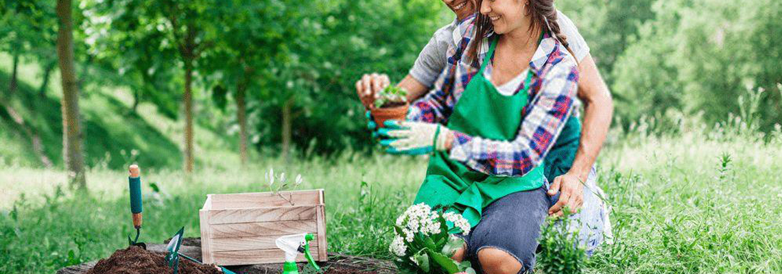 jardinage biologique